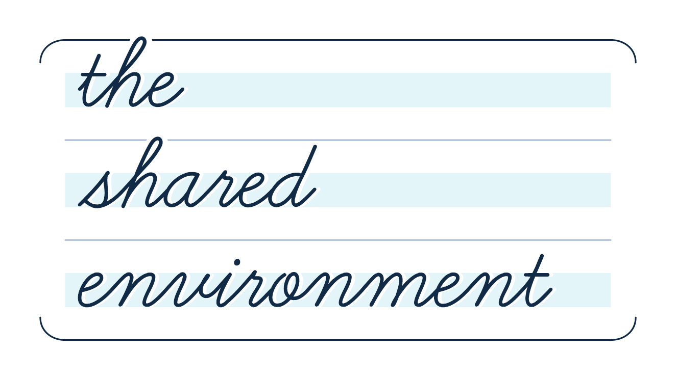 The Shared Environment logo
